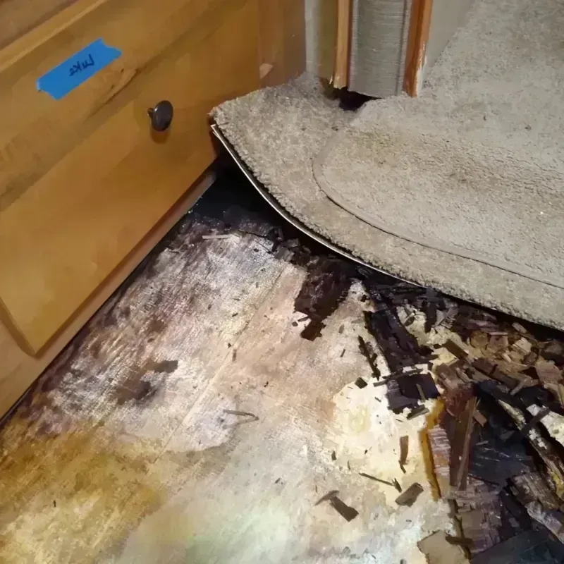 Wood Floor Water Damage in Shorewood-Tower Hills-Harbert, MI